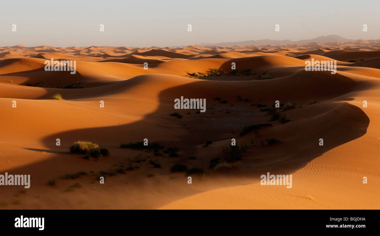 Landscape of the sahara desert in morocco north africa Stock Photo