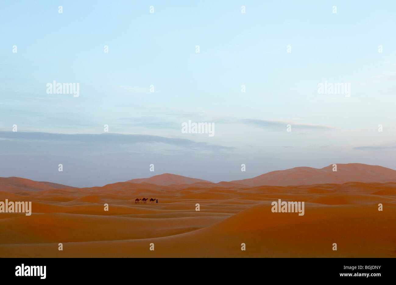 Landscape of the sahara desert in morocco north africa Stock Photo