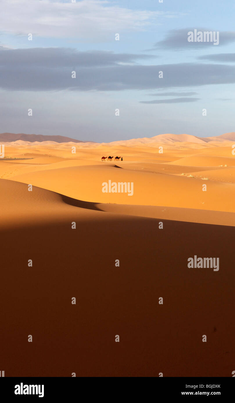Landscape of the sahara desert in morocco north africa Stock Photo