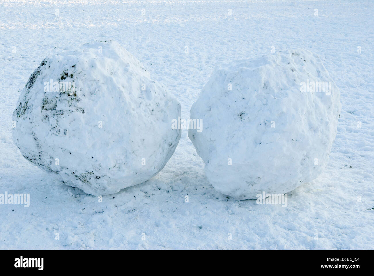 Snowballs hires stock photography and images