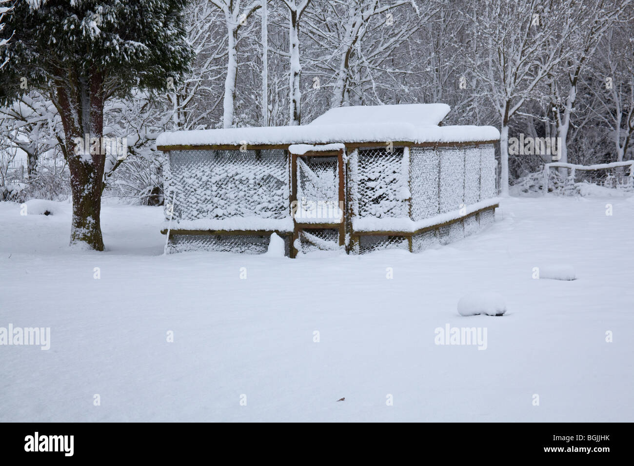Snow covered chicken coup or hutch , Hampshire, England. Stock Photo