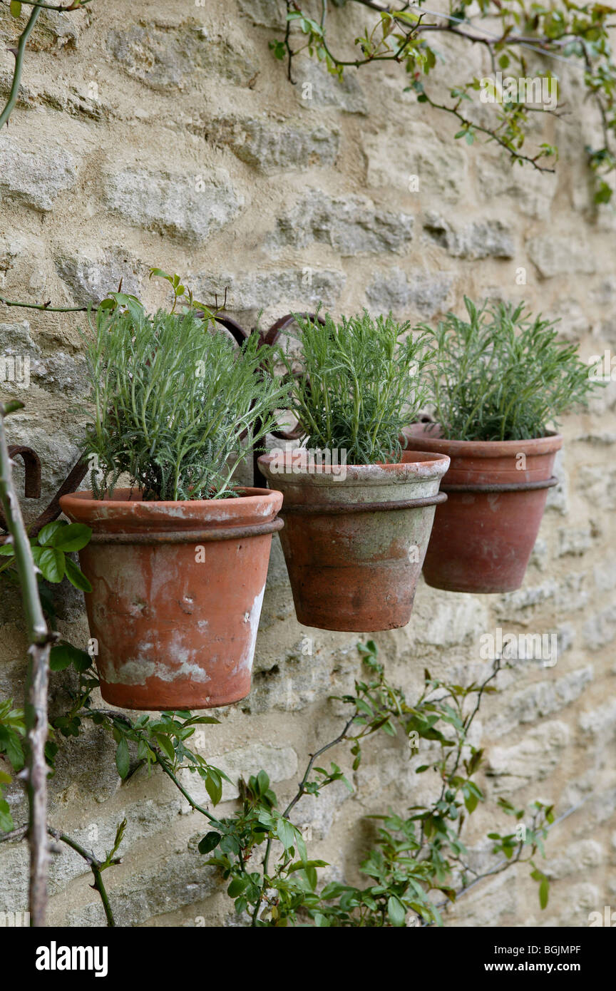garden product feature of planted terracotta pots hanging from iron design attached to stone wall Stock Photo