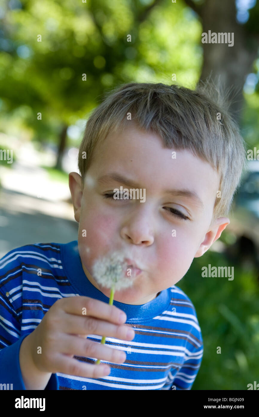 a young boy blows on a dandelion Stock Photo - Alamy