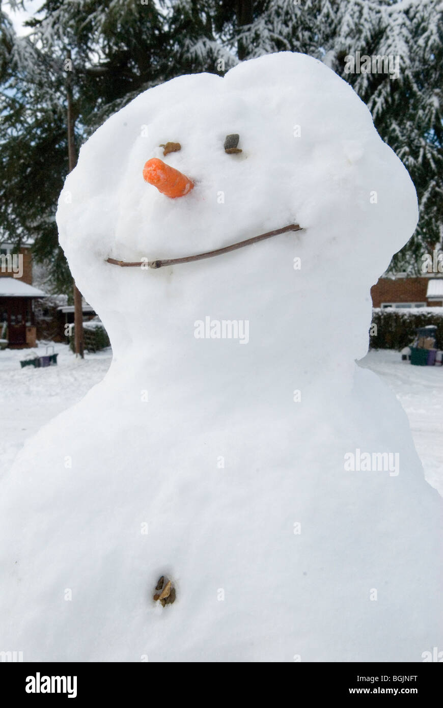 Snowman 2010 Stock Photo