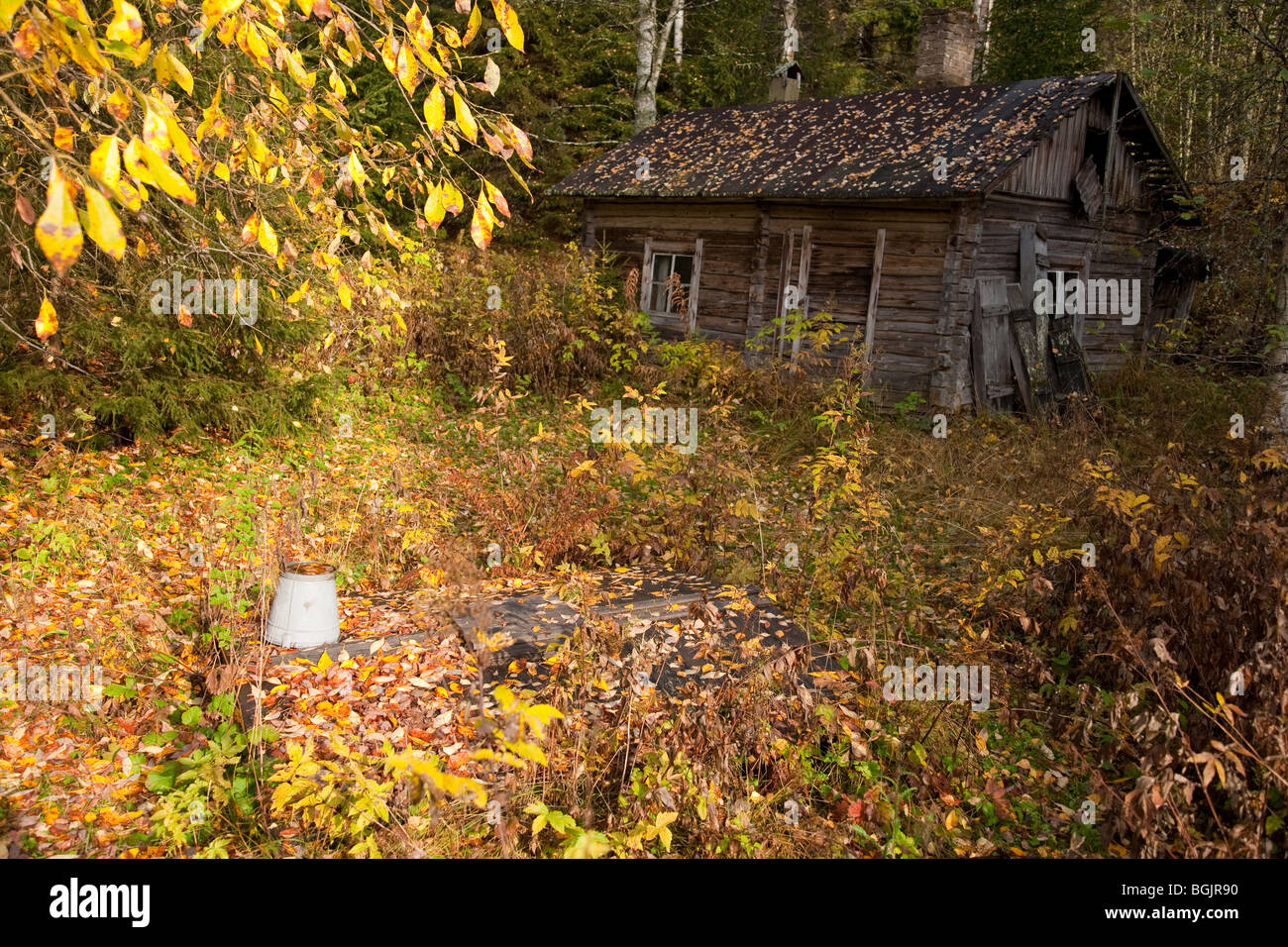 Old decaying sauna made of logs , Finland Stock Photo Alamy