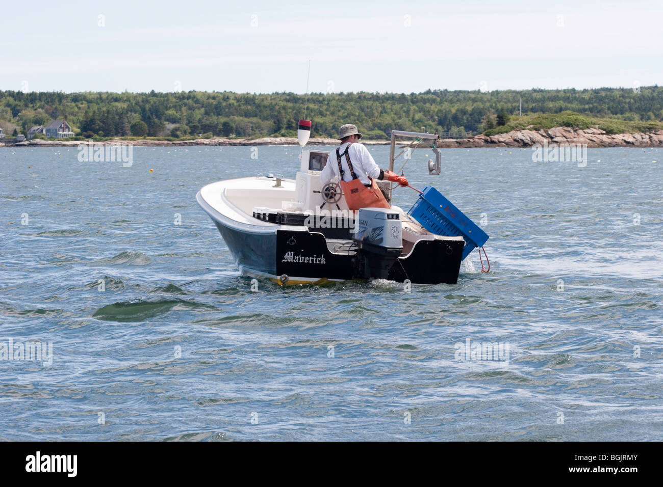 Hauling Lobsters in an Open Lobster Boat, Johns River Maine Stock Photo