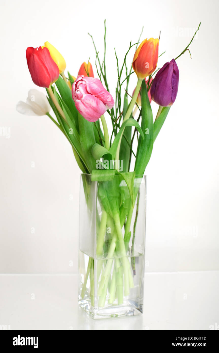 A bouquet of tulips in a crystal vase on white background Stock Photo ...