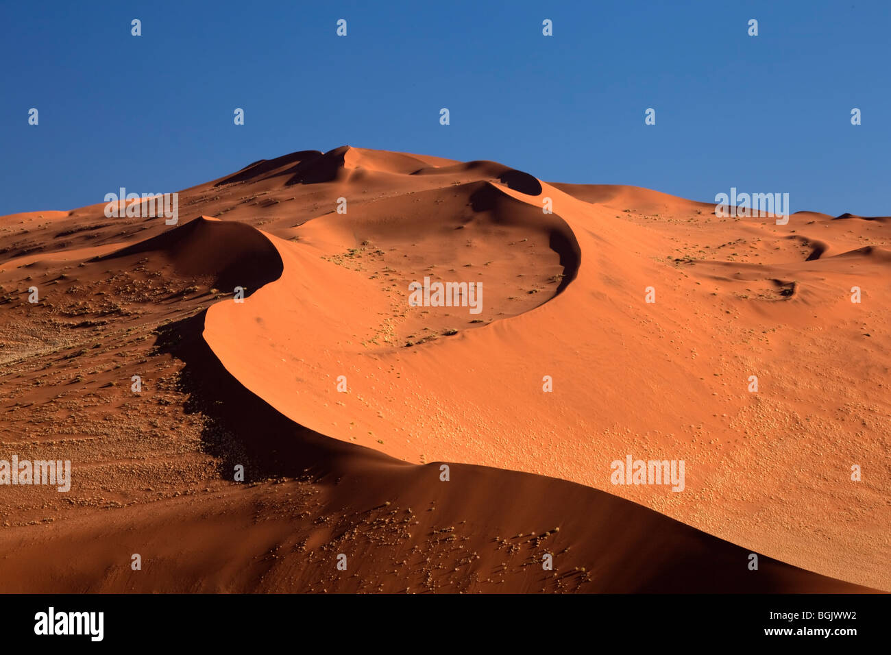 Namibian sand dunes at sundown Stock Photo