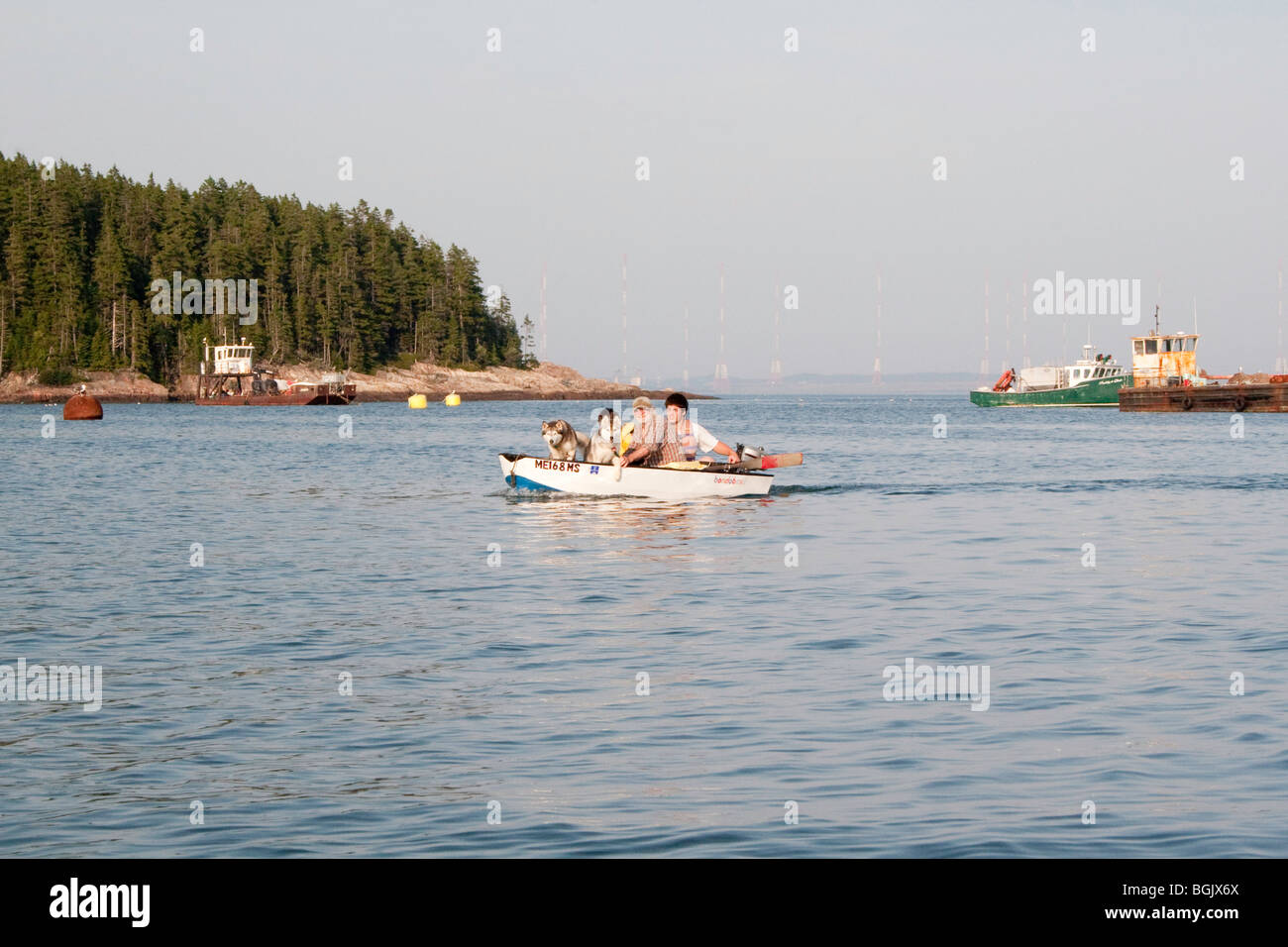 Going ashore with the dogs in Bucks Harbor, Machiasport, Maine Stock ...