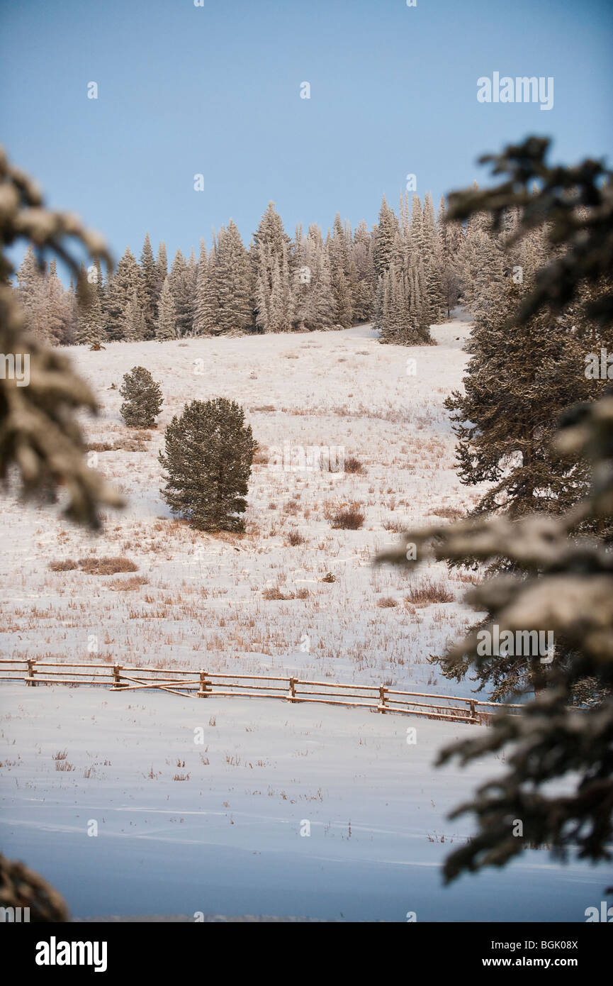 A LOG FENCE ON THE WYOMING LANDSCAPE Stock Photo