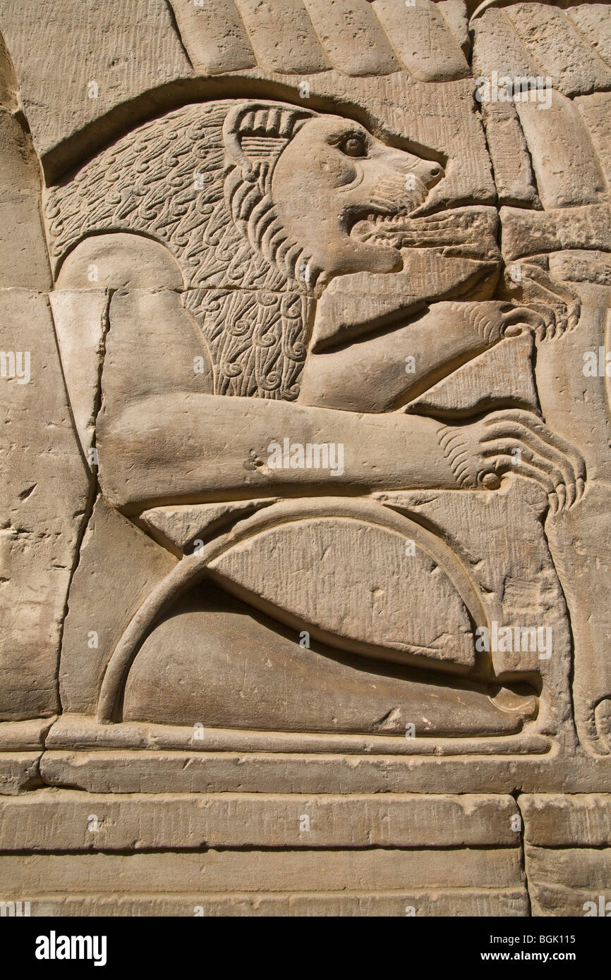 Relief of lion on outer corridor wall  of the Temple of Haroeris and Sobek at Kom Ombo in the Nile Valley, Upper Egypt Stock Photo