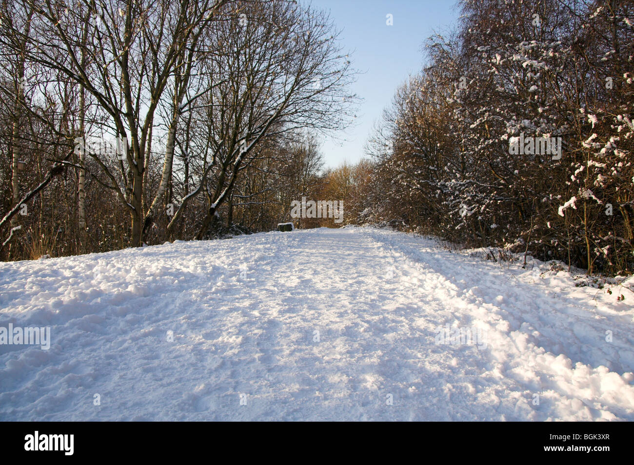 Chorlton Water Park Covered In Snow, Manchester, Uk Stock Photo - Alamy