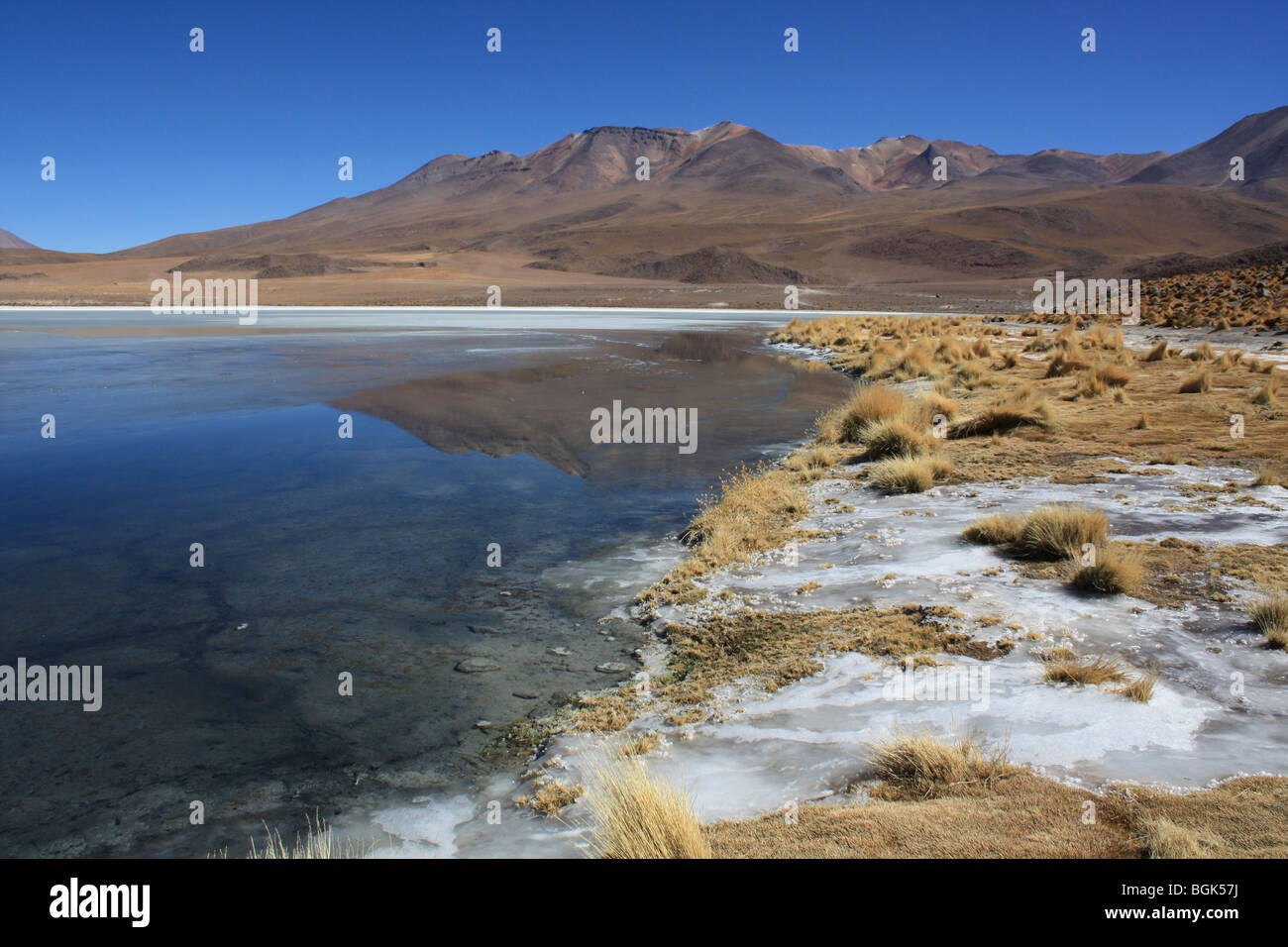 Laguna Hedionda salar de uyuni bolivia Stock Photo - Alamy