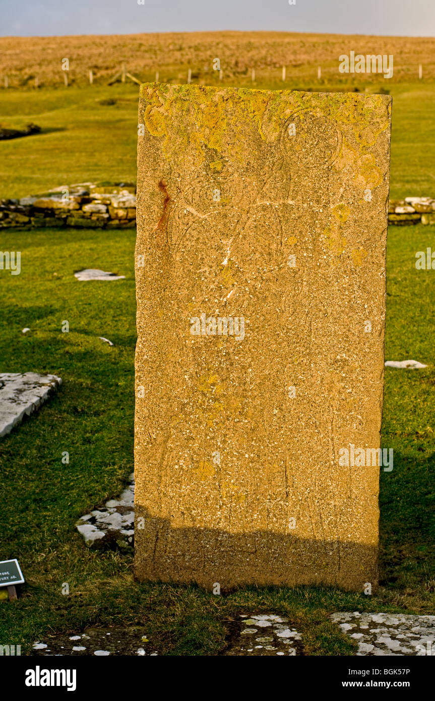 Inscribed Pictish Symbol Stone Brough of Birsay on the Mainland Orkney  SCO 5855 Stock Photo