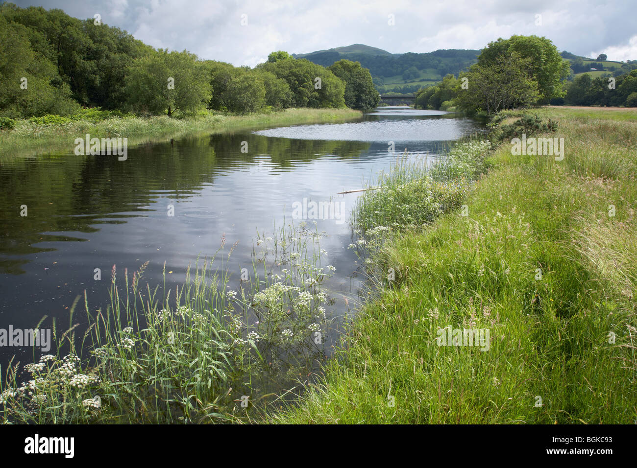 The River Mawddach and its estuary near Dolgellau in Snowdonia National Park is a designated Site of Special Scientific Interest Stock Photo