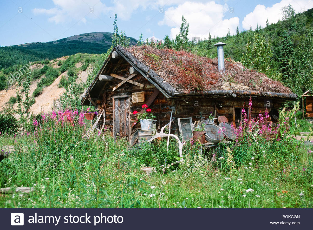 Alaska Denali National Park Kantishna Mining District Sod Roof