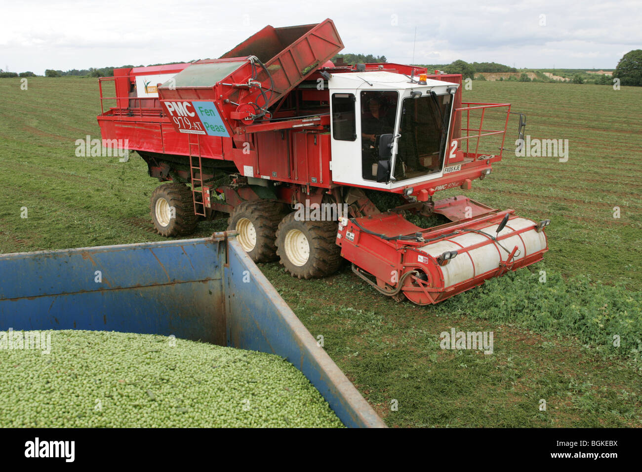 Pea Vining In The Lincolnshire Wolds Stock Photo