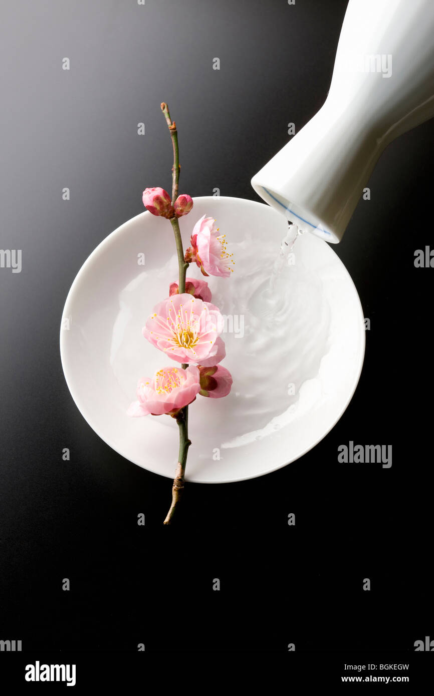 Sake and plum blossoms Stock Photo
