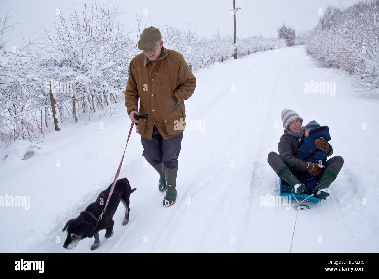 Sledging or tobogganing in the snow, Hampshire, England Stock Photo