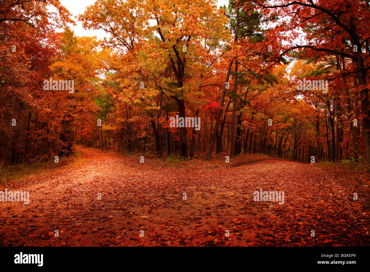 Hi road/Low road; Autumn, Mark Twain National Forest, Missouri Stock Photo