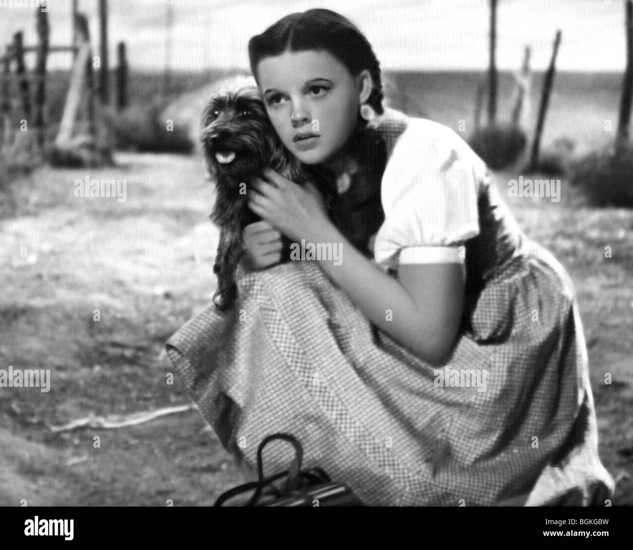 THE WIZARD OF OZ  1939 MGM film with Judy Garland Stock Photo