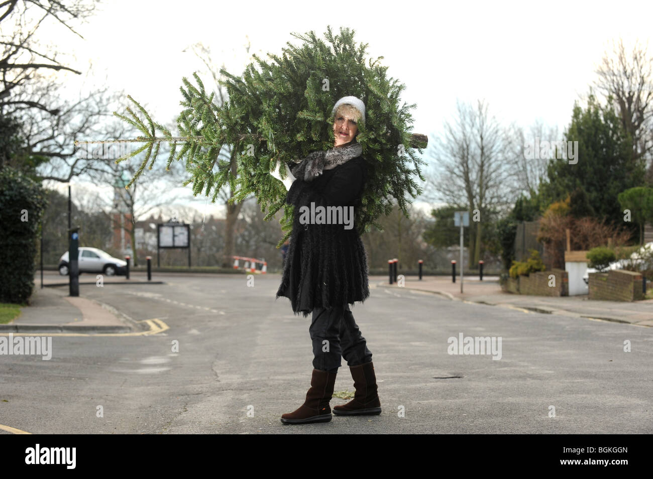 Female carrying Christmas tree on her shoulders down the road to Recycling Site in Brighton UK