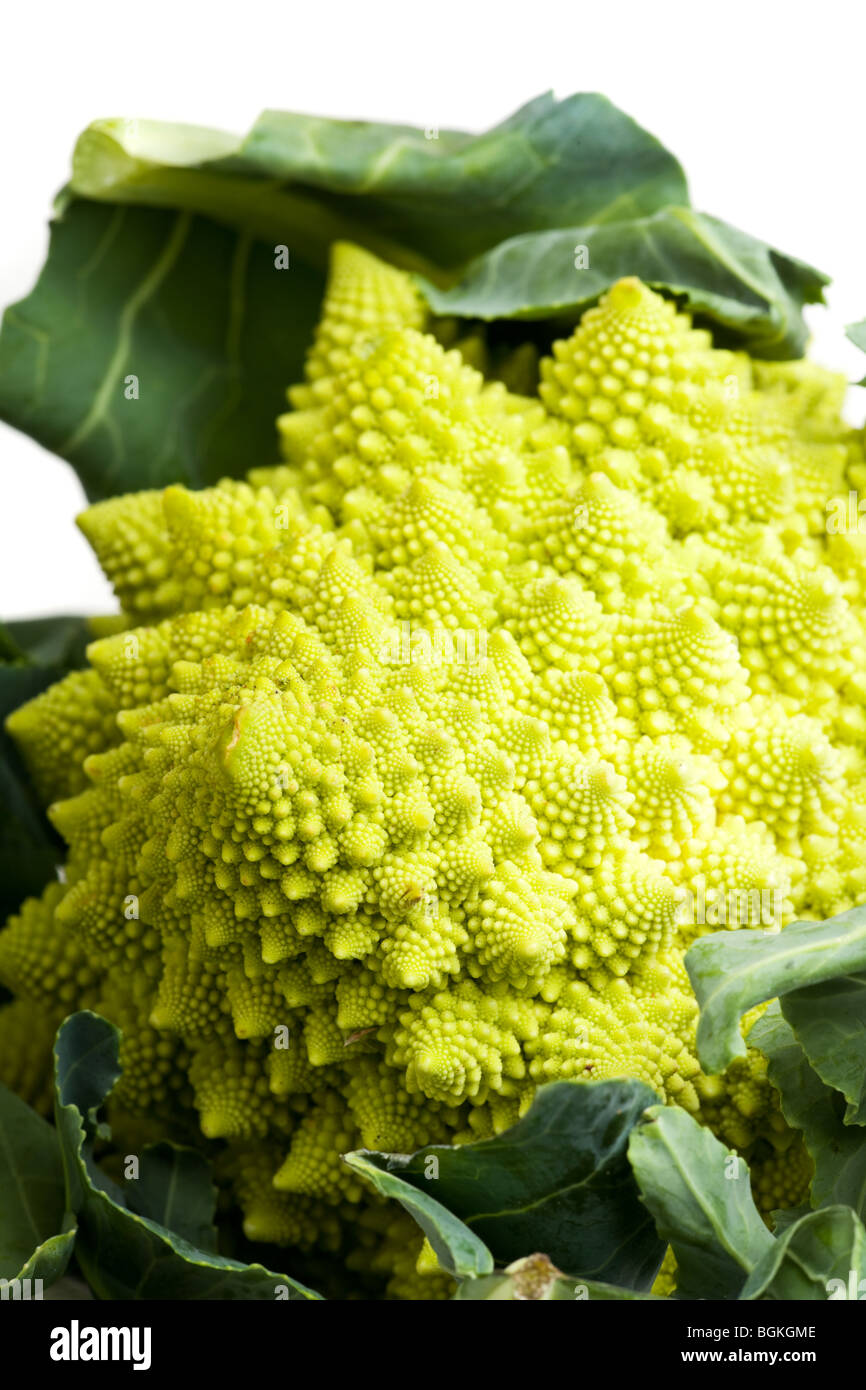 single romanesco vegetable isolated on white Stock Photo Alamy