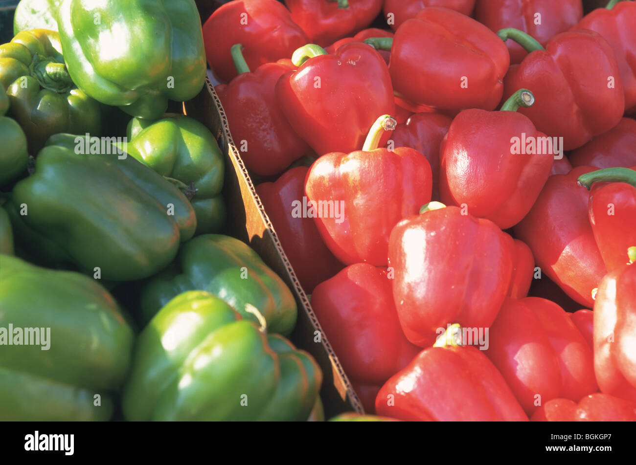 Red and green bell peppers Stock Photo - Alamy