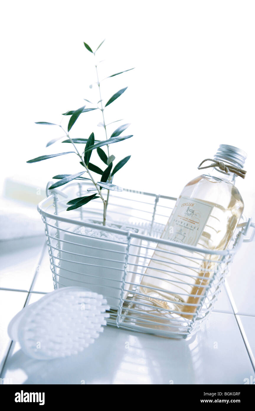 The Lumber Toiletry