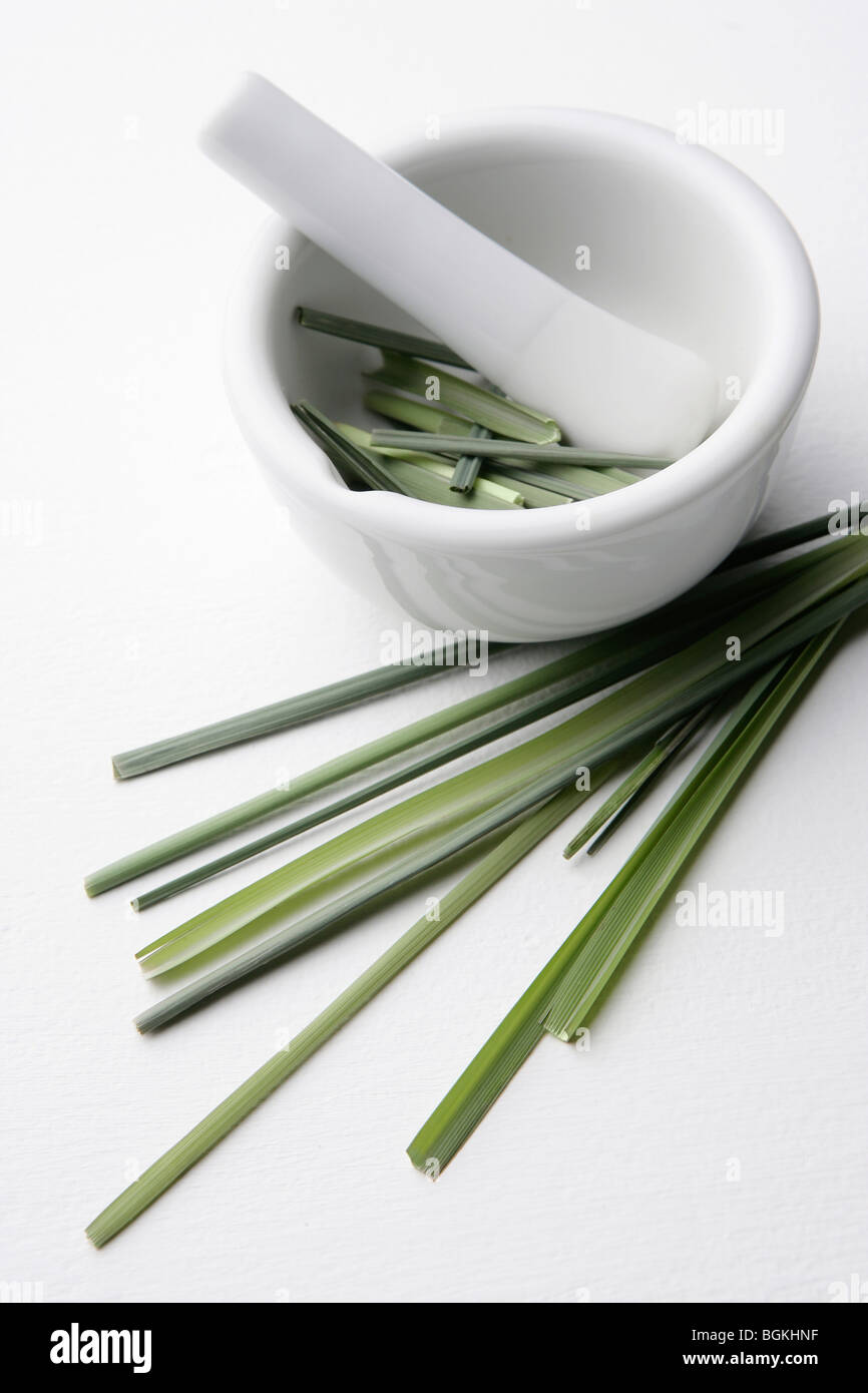 Rosemary in a pestle and mortar Stock Photo