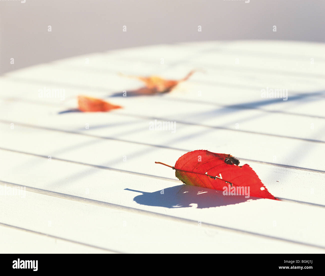 Fallen table hi-res stock photography and images - Alamy