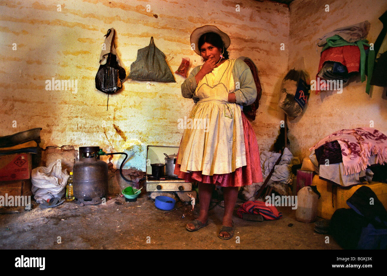 Coca leaves chewing hires stock photography and images Alamy