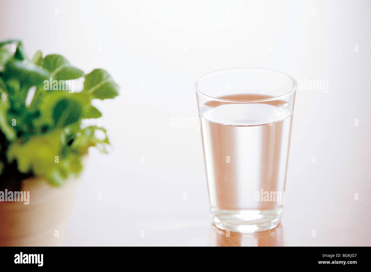 Water in a Cup Stock Photo Alamy