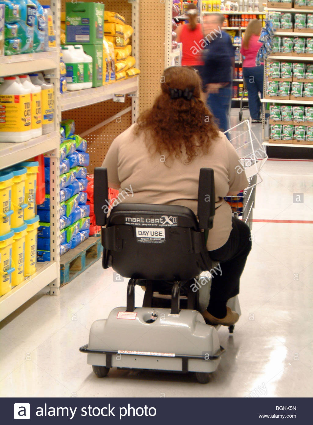 obese-woman-america-usa-us-americans-BGKK5N.jpg