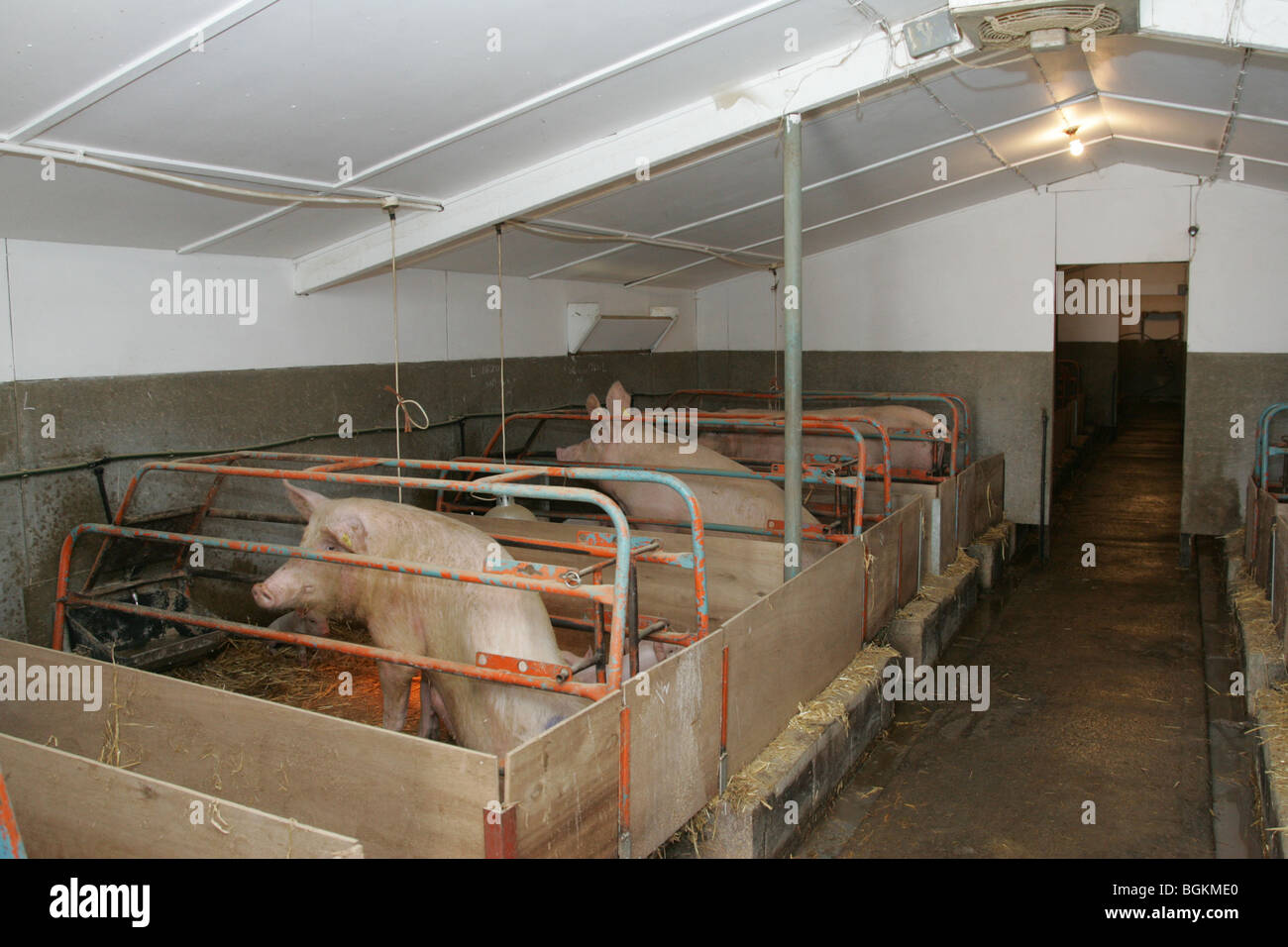 Pig houses hires stock photography and images Alamy