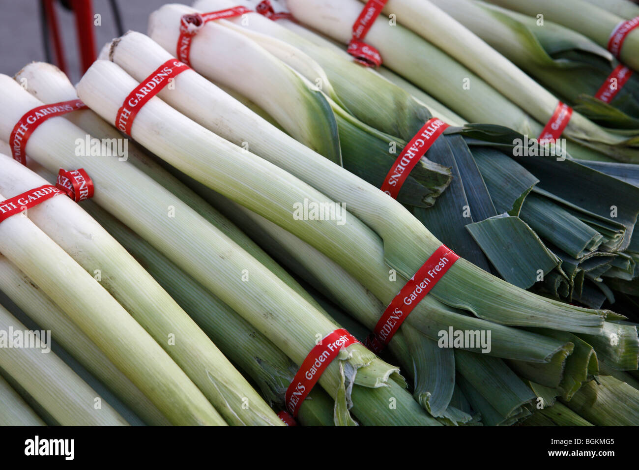 Vegetable Leeks High Resolution Stock Photography and Images Alamy