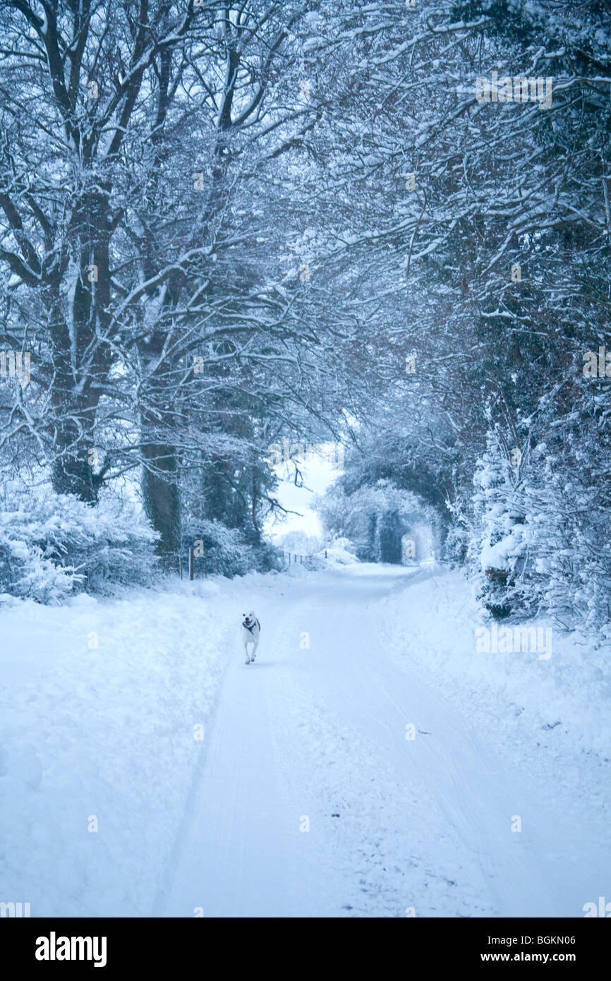 Snow covered rural road,Hattingley, Hampshire, England. Stock Photo