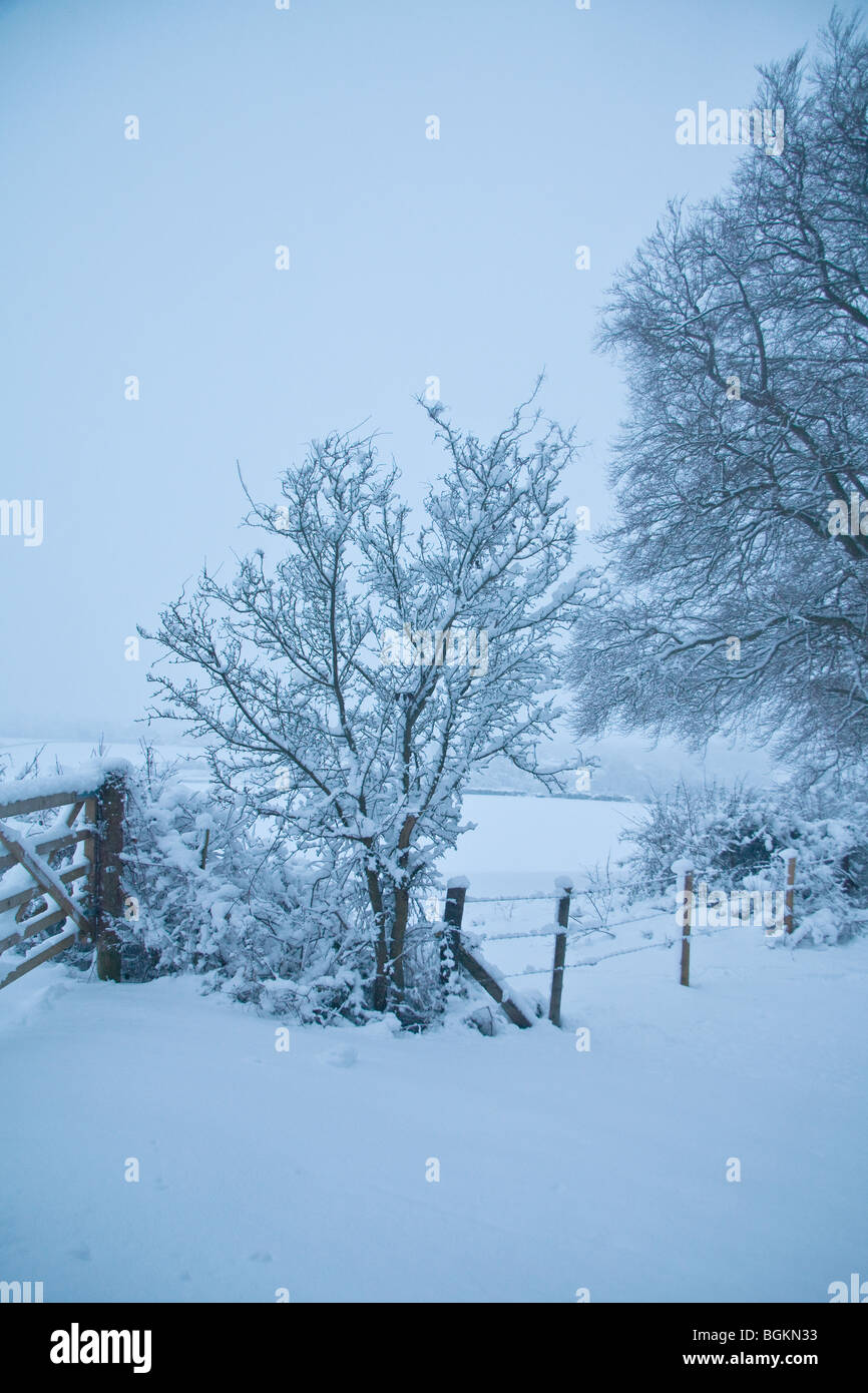 Snow covered rural road,Hattingley, Hampshire, England. Stock Photo