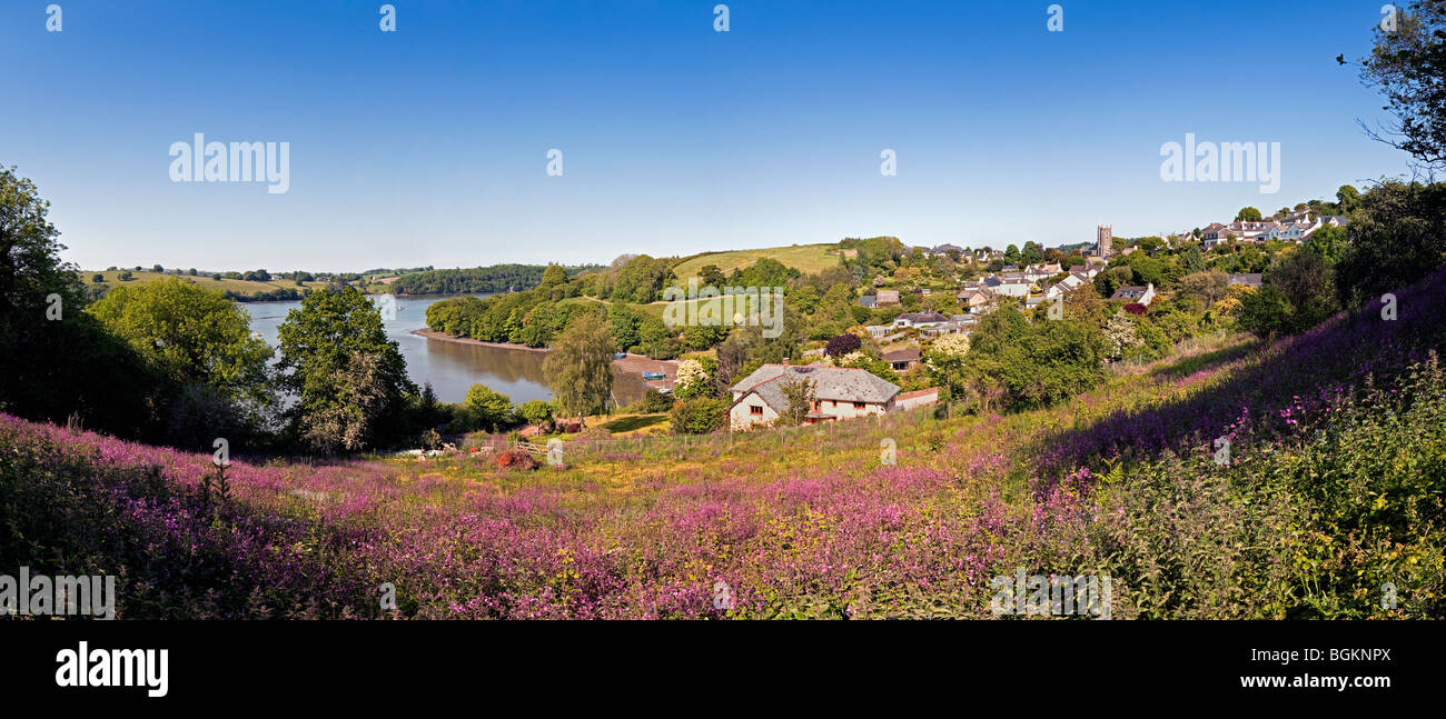 Dittisham and the River Dart, South Hams, Devon, England, United Kingdom Stock Photo