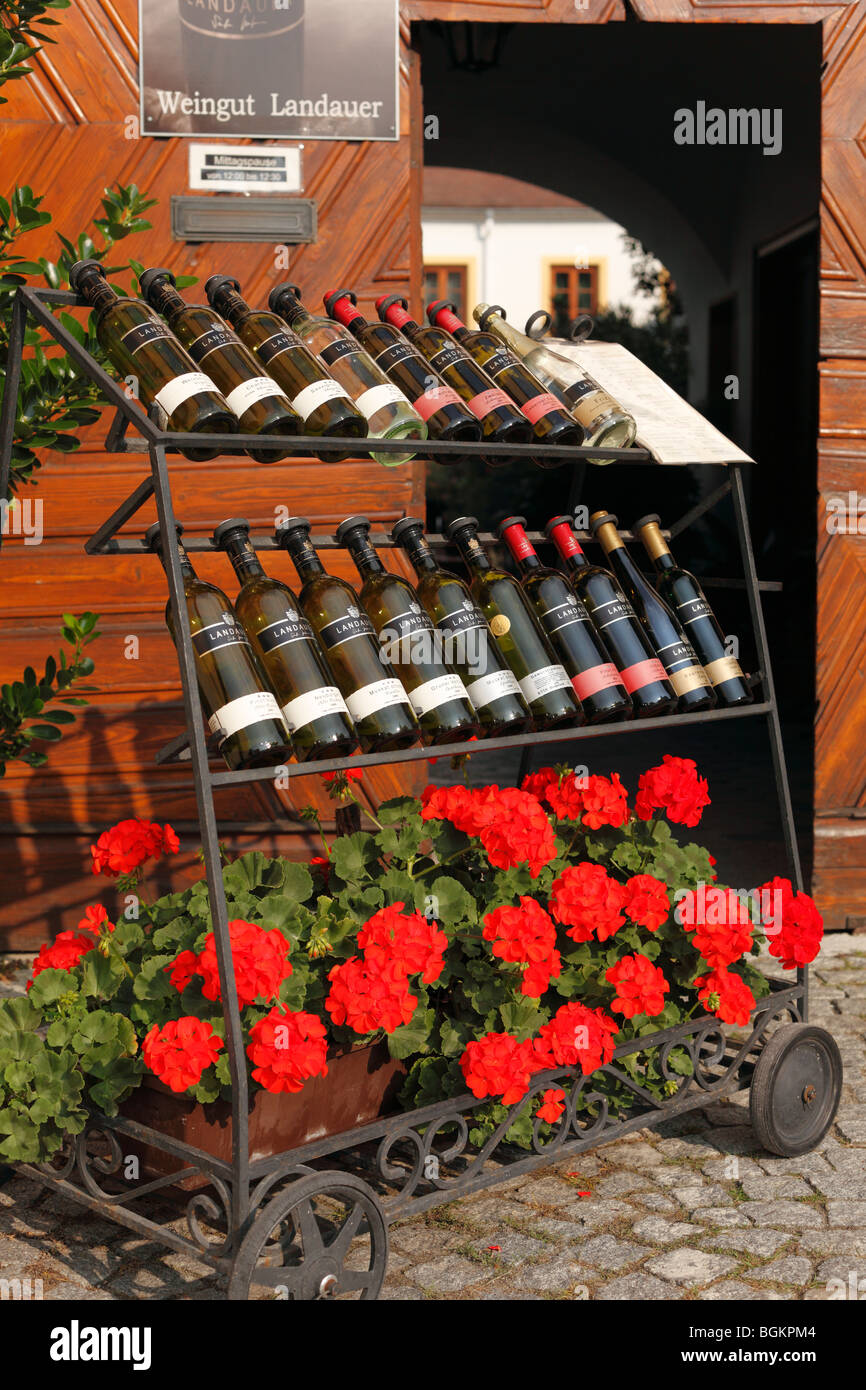 Wine bottles on display, Weingut Landauer winery, Rust on Lake Neusiedl, Burgenland, Austria, Europe Stock Photo