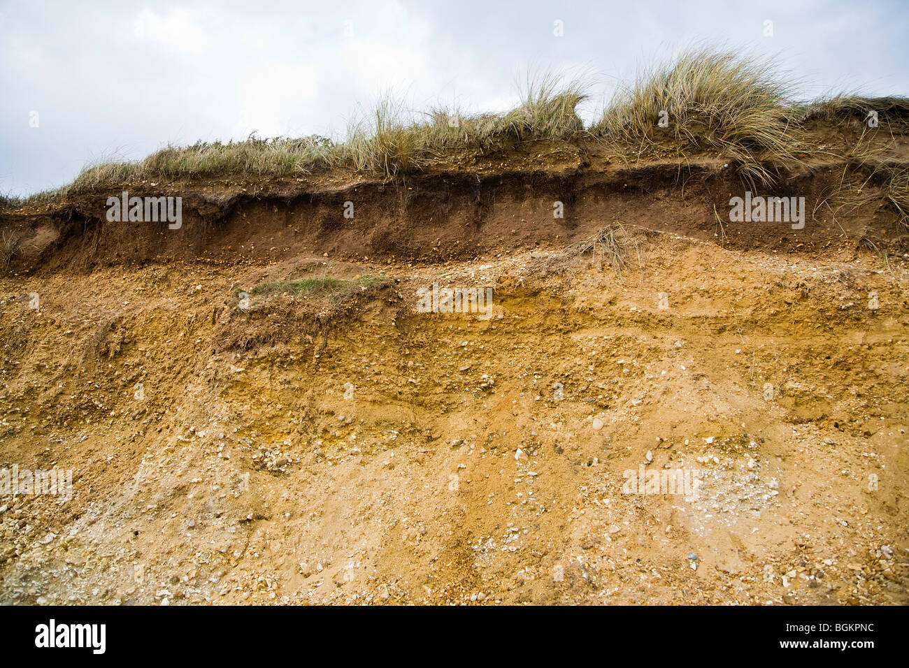 Soil layers revealed showing erosion of topsoil from the cliff top overlooking Bournemouth