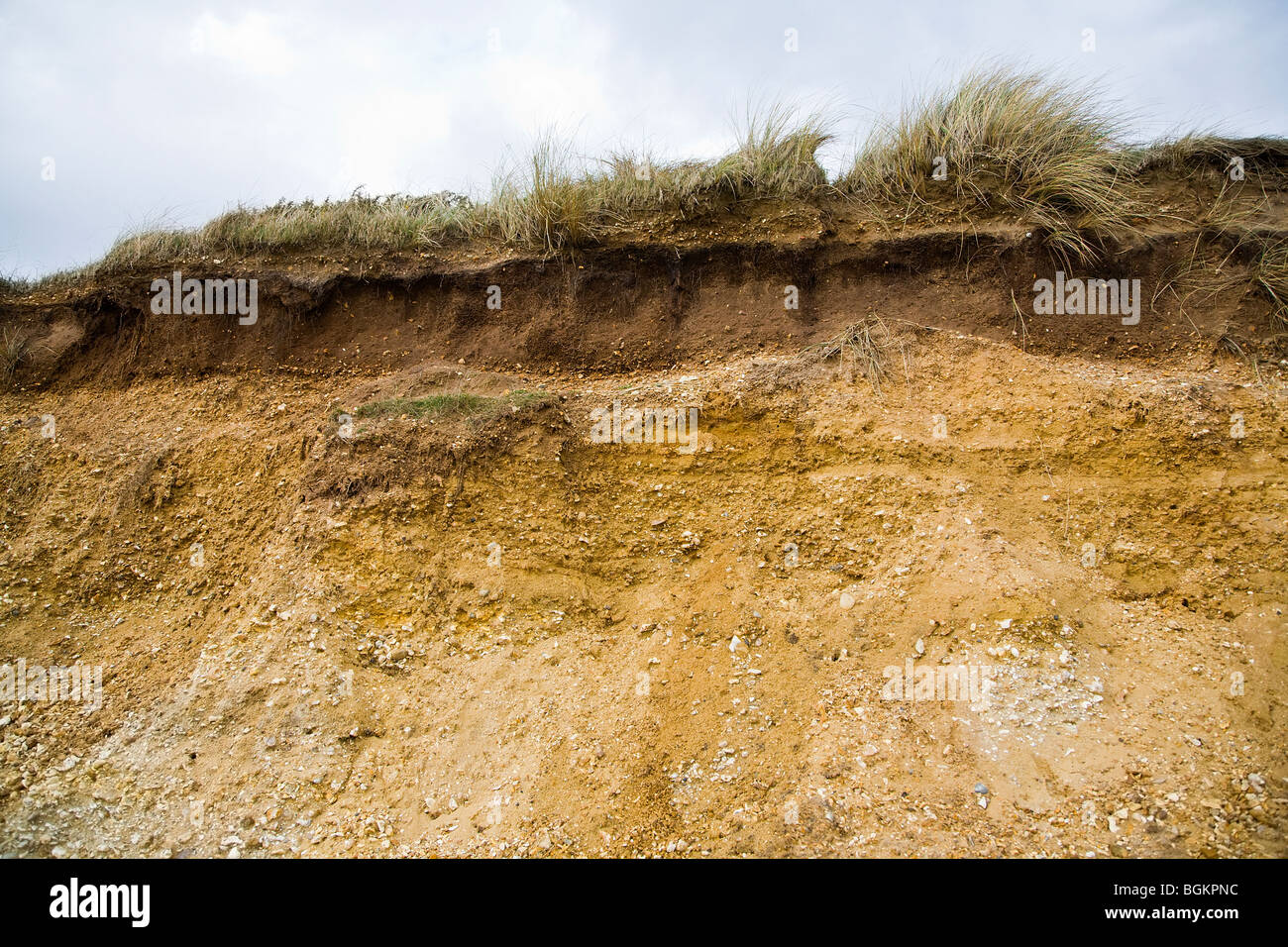 Soil layers revealed showing erosion of top-soil from the cliff top overlooking Bournemouth beach. Bournemouth, Dorset. UK. Stock Photo
