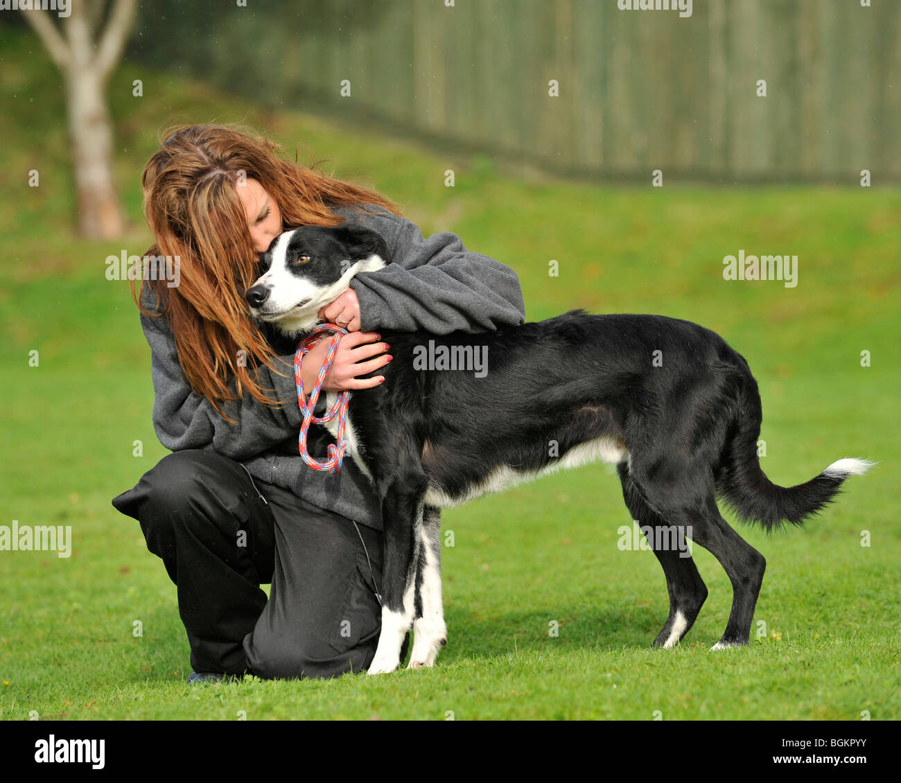 dog and owner Stock Photo