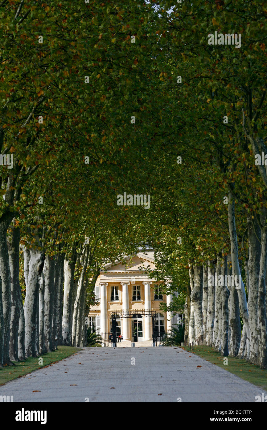 Chateau Margaux entrance Sycamore trees famous vineyard Medoc Bordeaux Aquataine France Stock Photo