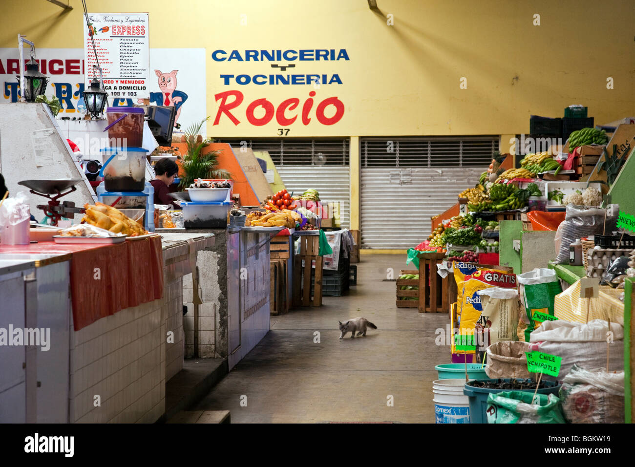 spotless aisle in small indoor public market with piled chicken fruit vegetables & spices & a pet cat in Oaxaca City Mexico Stock Photo
