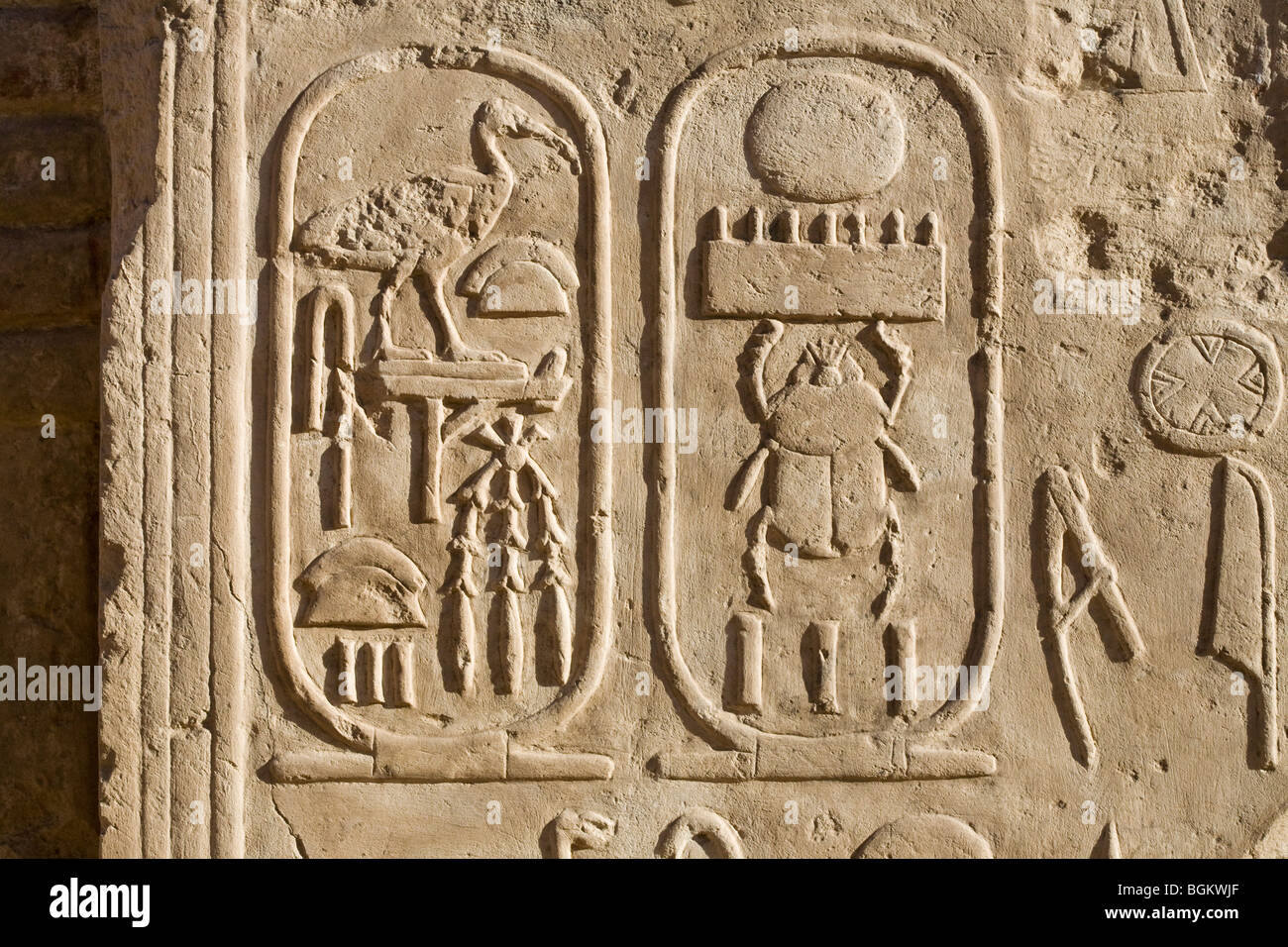 The cartouche of Thuthmoses IV inscribed on wall at Luxor Temple, Egypt Stock Photo