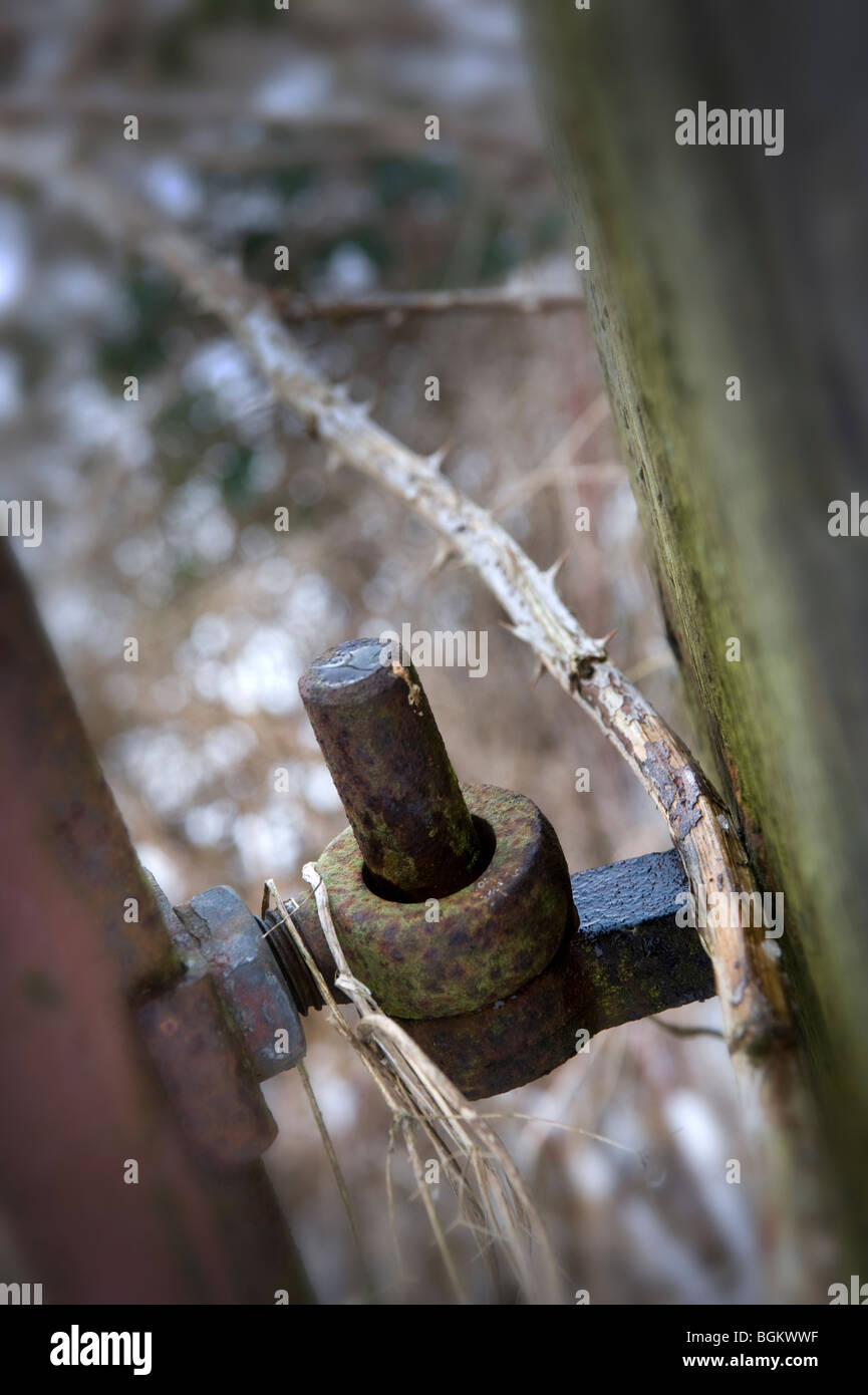 farm gate metal hinge Stock Photo Alamy