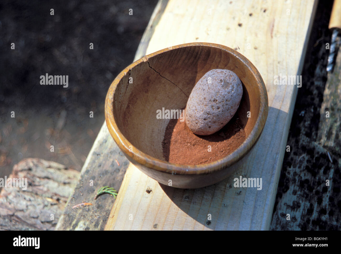 Northwest Coast ceremonial paint inside a cedar carved bowl with ground pigment and a stone tool called a pestle. Stock Photo