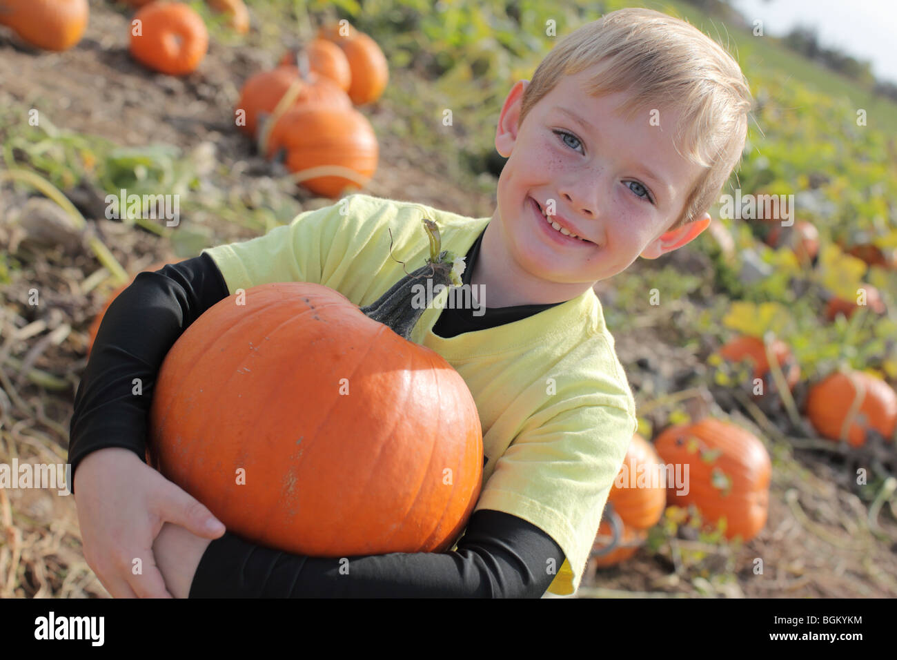 Young boy holding up pumpkin at pumpkin patch Stock Photo