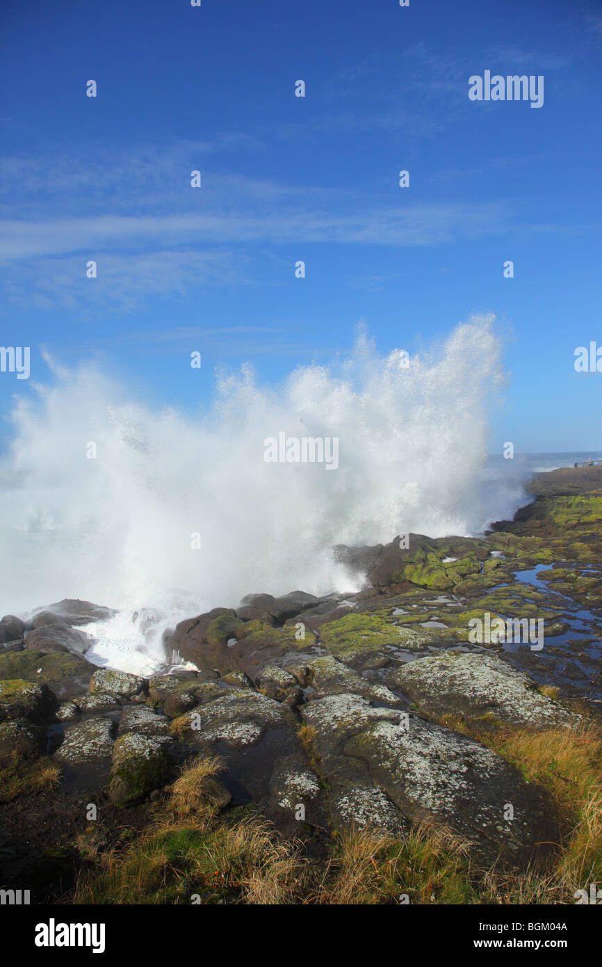 Wave splashing against rocks on Oregon Coast Stock Photo